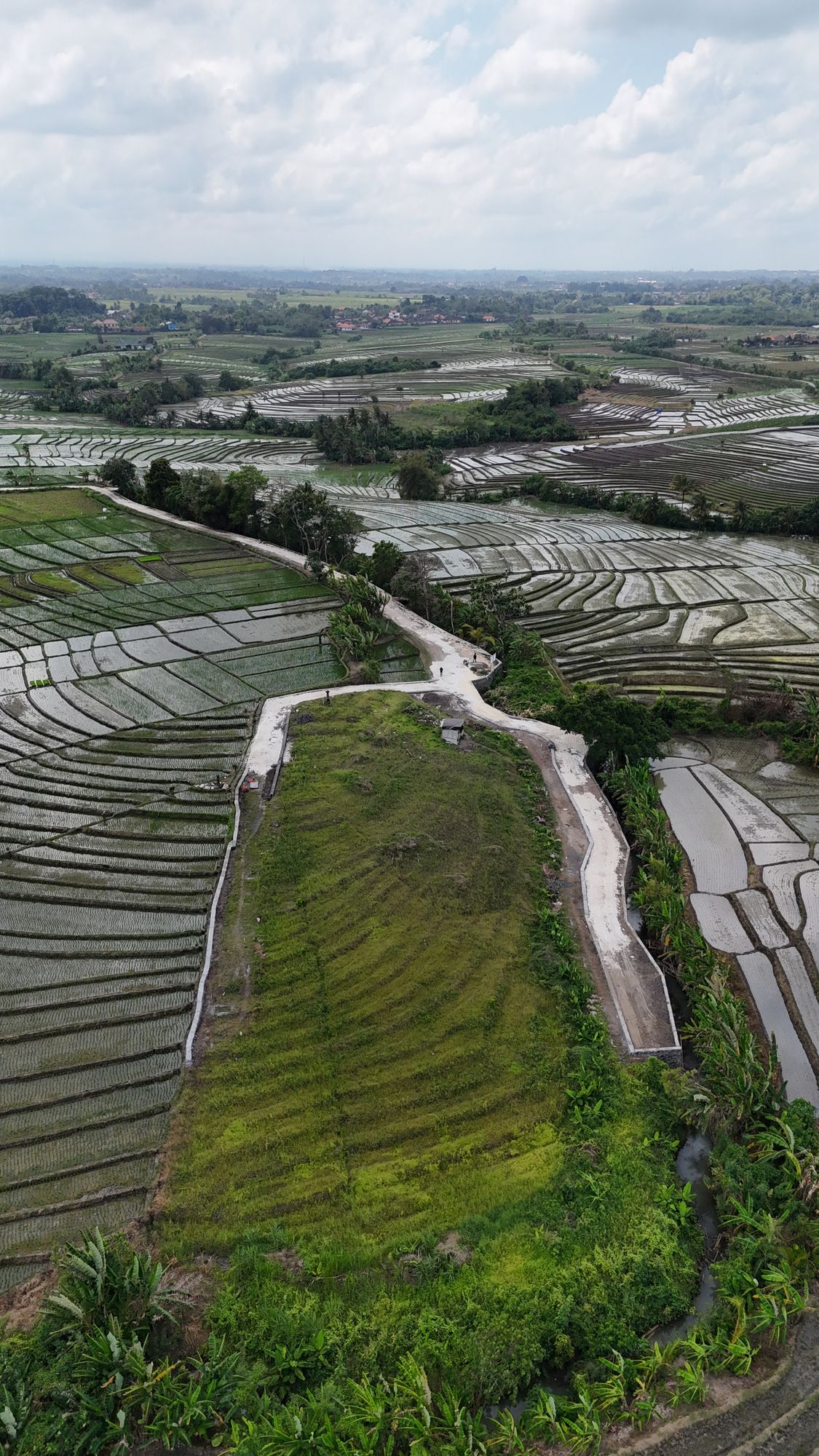 Wide aerial view of Pasut land parcel among surrounding rice fields