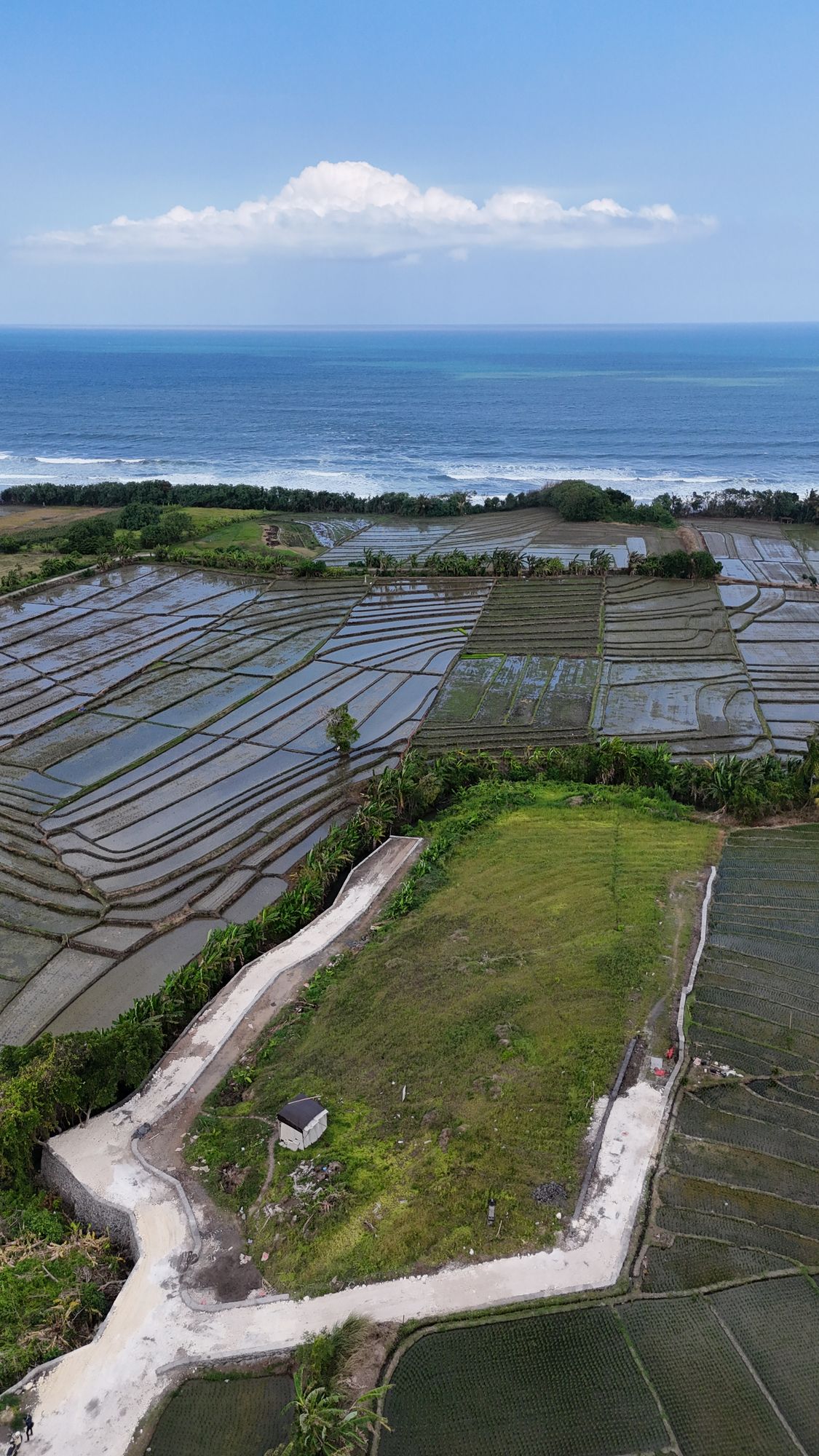 Aerial view of Pasut land parcel with ocean and rice paddies