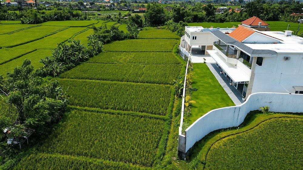 Aerial view of the villa bordered by working rice paddies